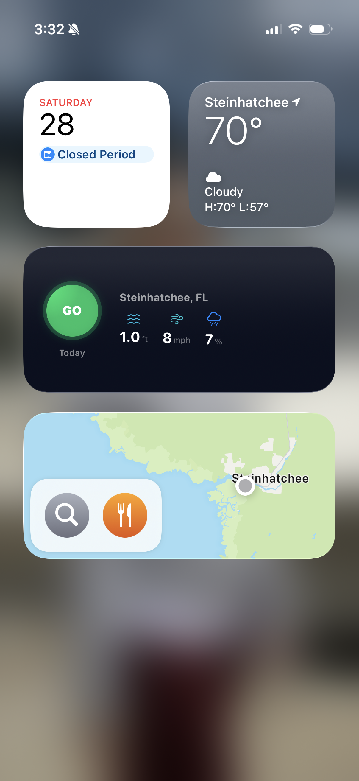 GoWindow iPhone home screen widgets showing GO status